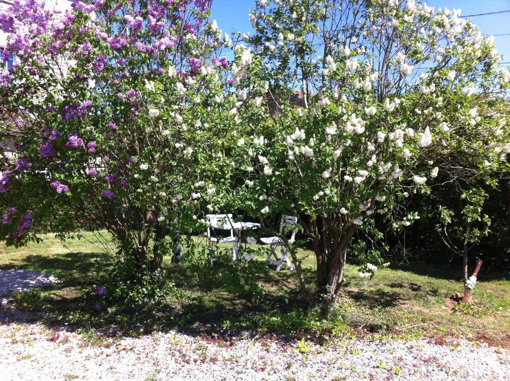 Les Lilas Roses Chamouilley Eksteriør bilde